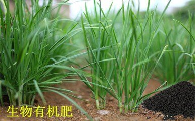 生物有機(jī)肥