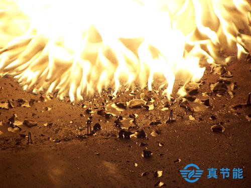 污泥干化焚燒 污泥干化焚燒