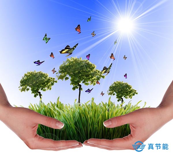 環保型大型污泥干化機 環保型大型污泥干化機