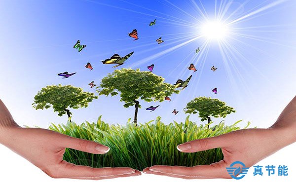 煤泥干化設備內部結構多重要